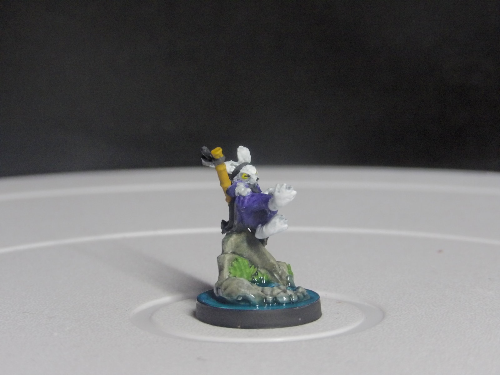 Bucky, the Rabbit Monk image 2