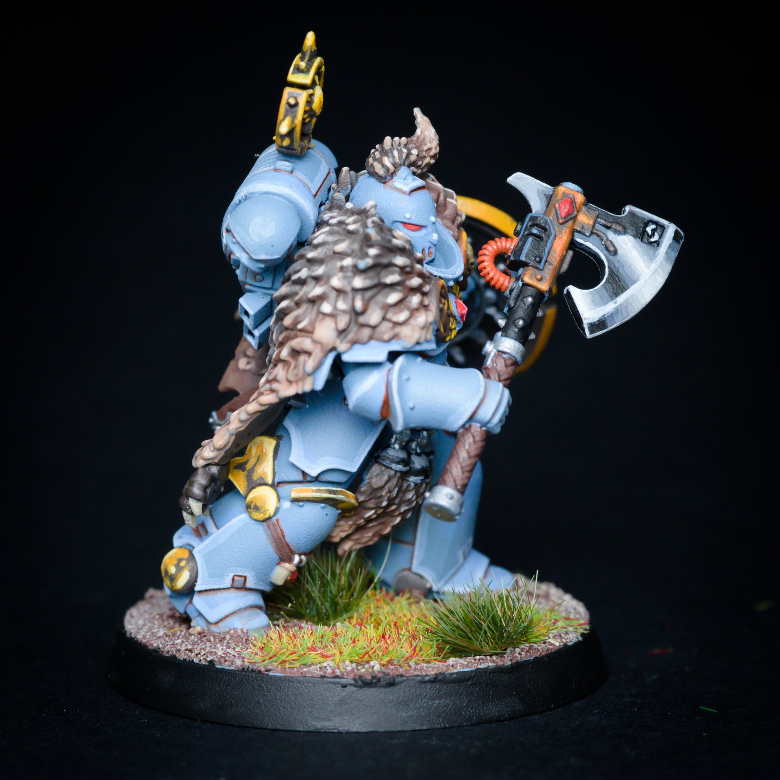 Wolf guard image 3