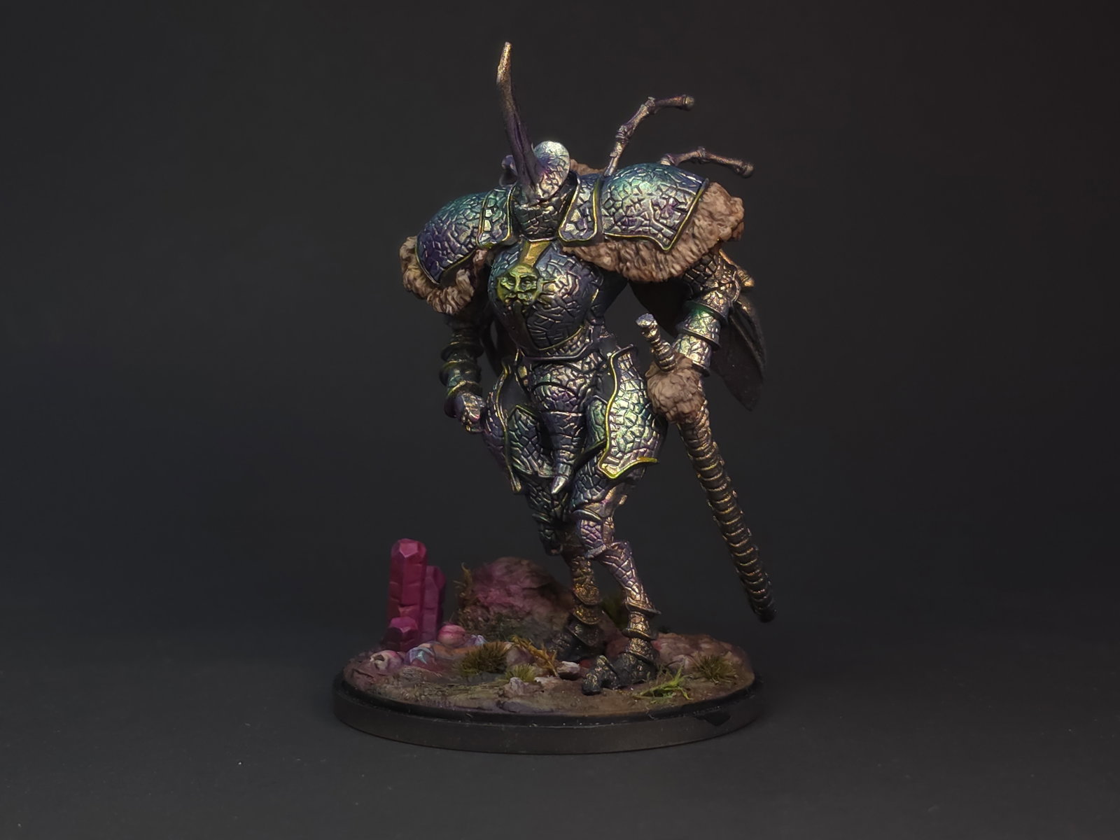 Dung beetle knight image 2