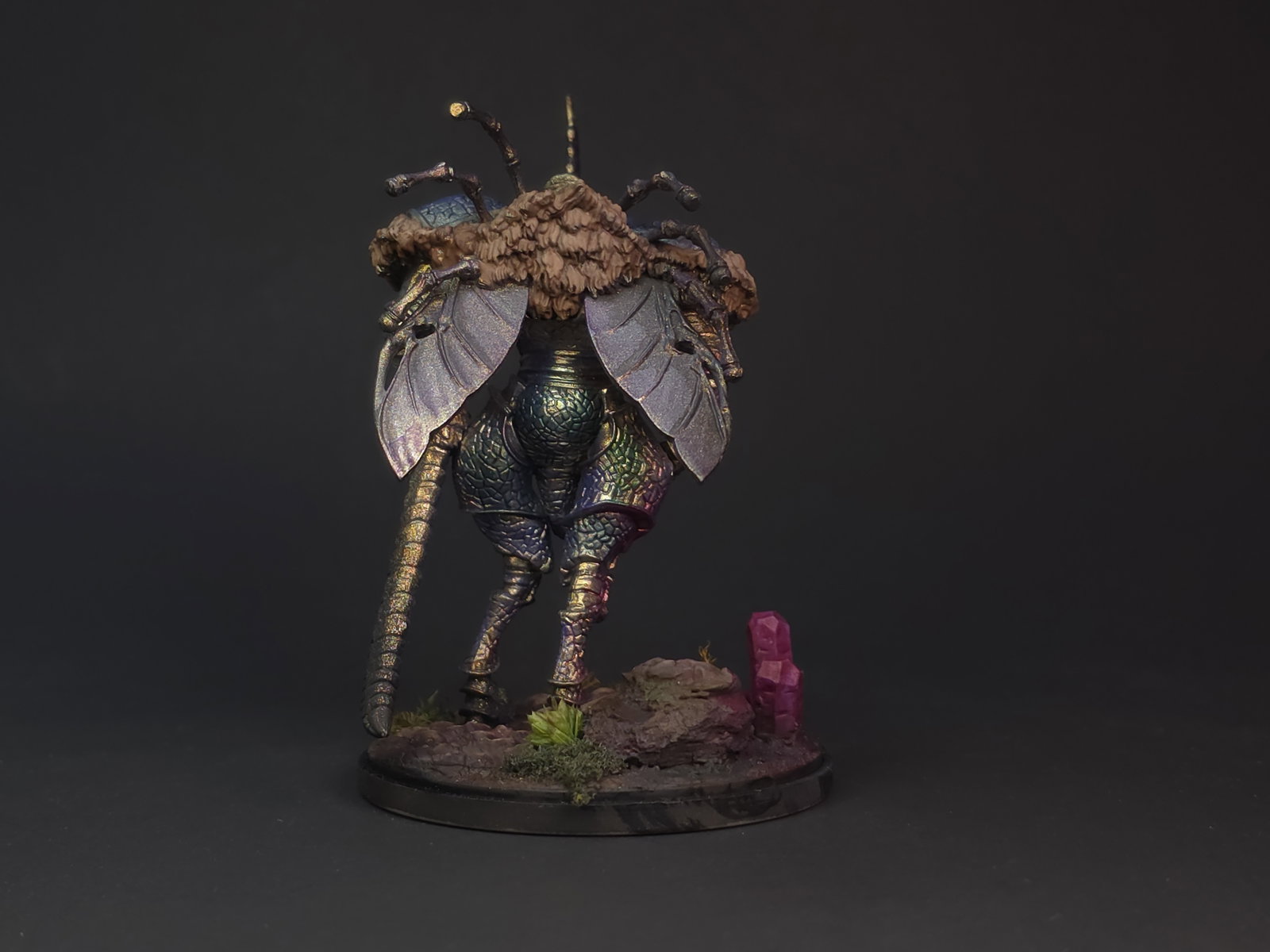 Dung beetle knight image 3