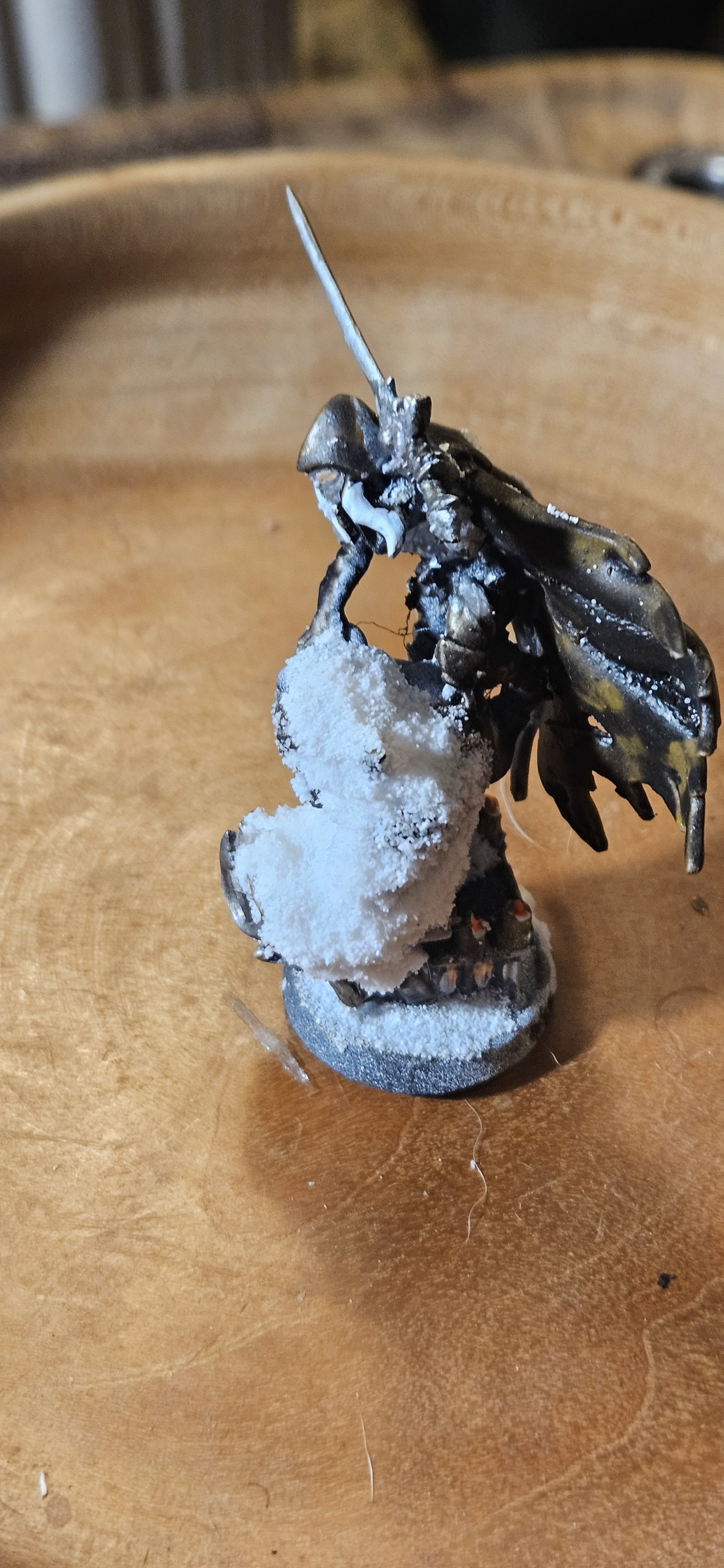 The Silvered Shadow image 5