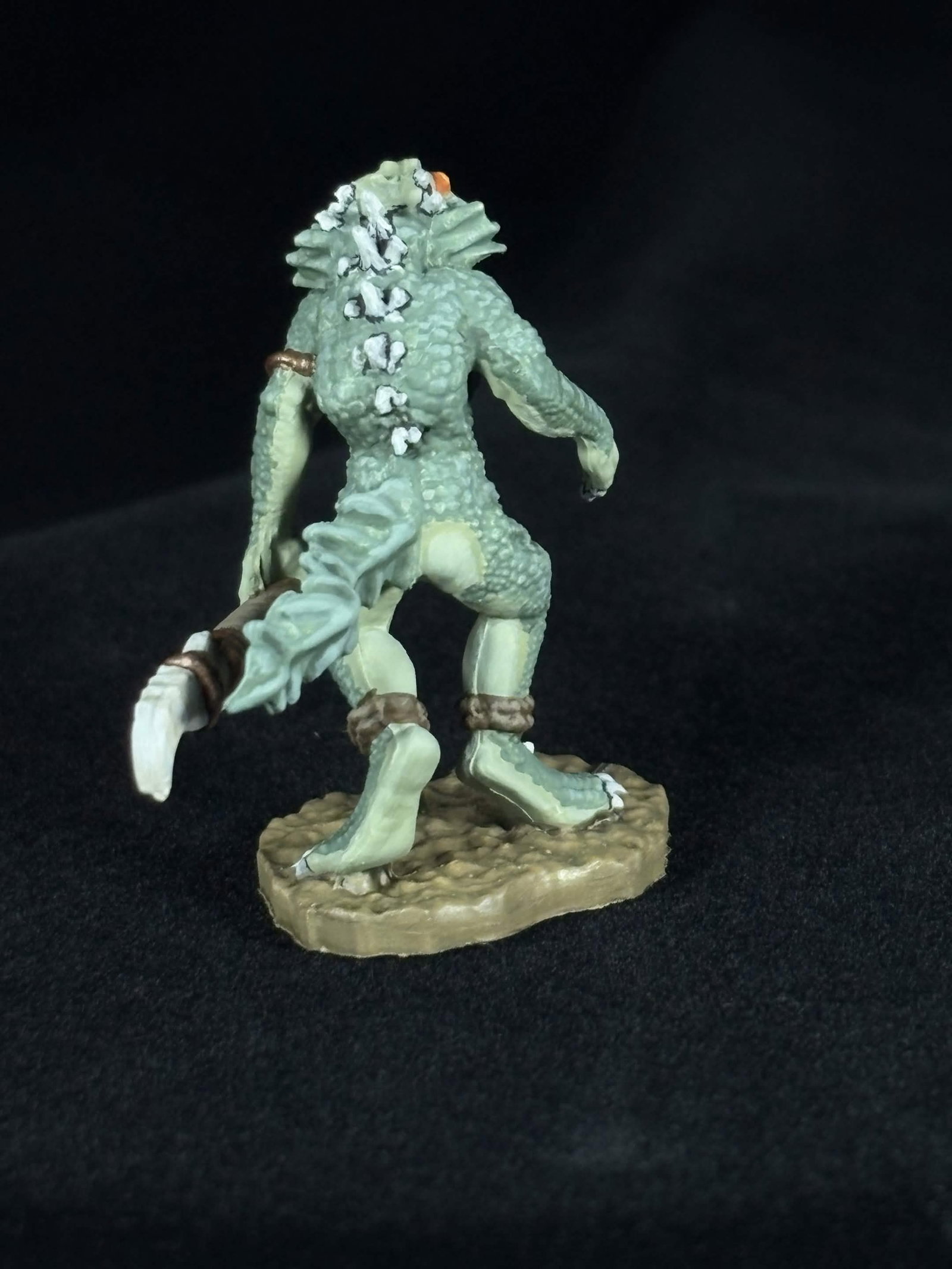 Troglodyte image 3