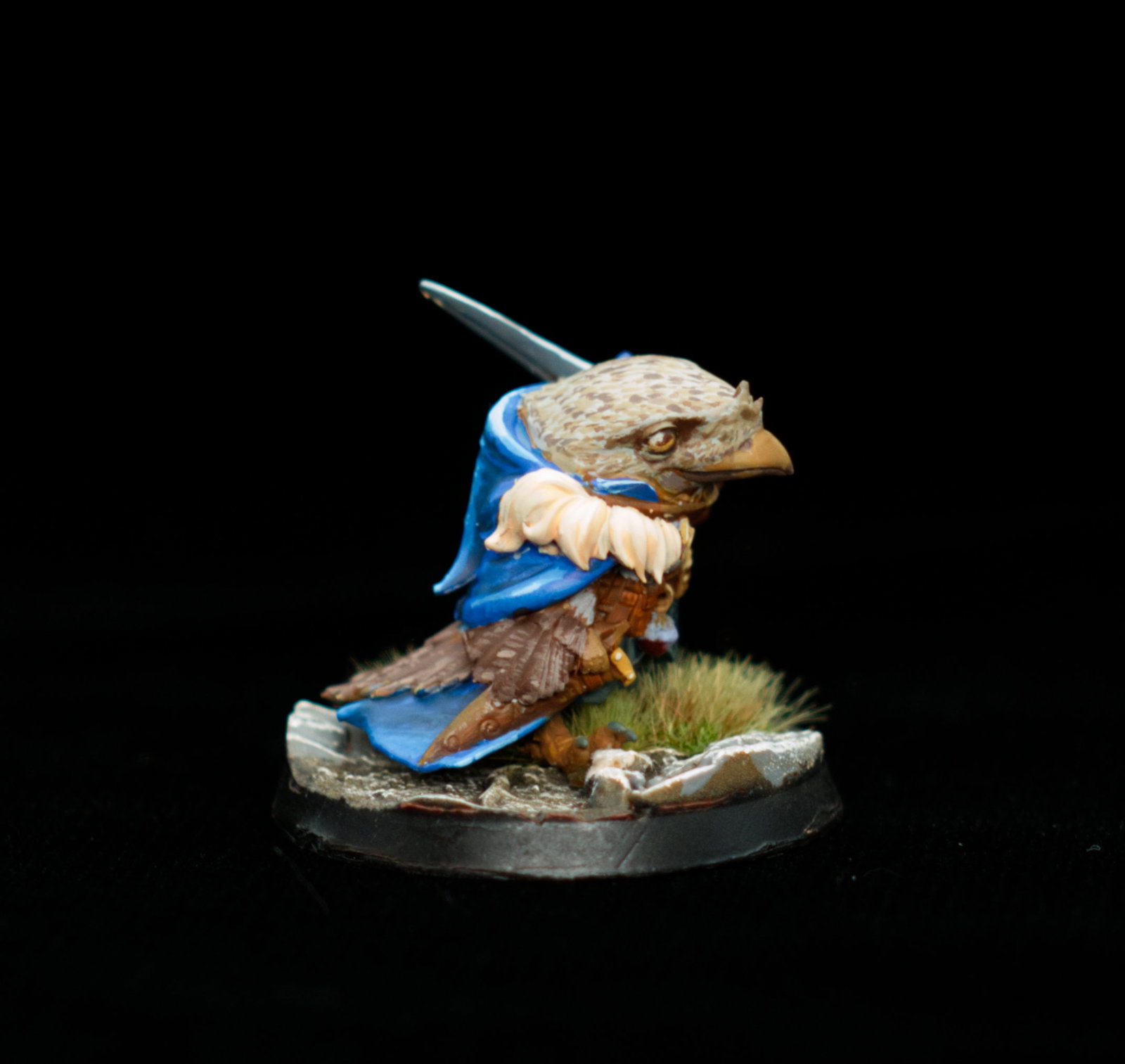 Frogmouth Paladin image 3